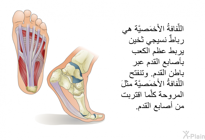 اللِّفافةُ الأَخمَصيَّة هي رباطٌ نسيجي ثخين يربط عظم الكعب بأصابع القدم عبر باطن القدم. وتنفتح اللِّفافةُ الأَخمَصيَّة مثلَ المروحة كلَّما اقتربت من أصابع القدم.