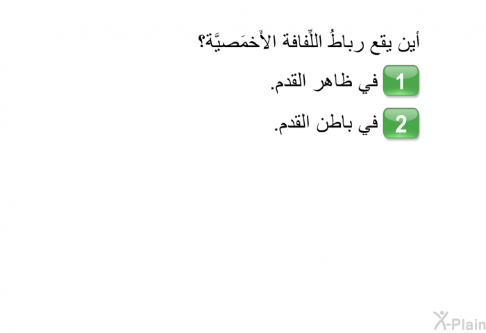 أين يقع رباطُ اللِّفافة الأَخمَصيَّة؟   في ظاهر القدم. في باطن القدم.