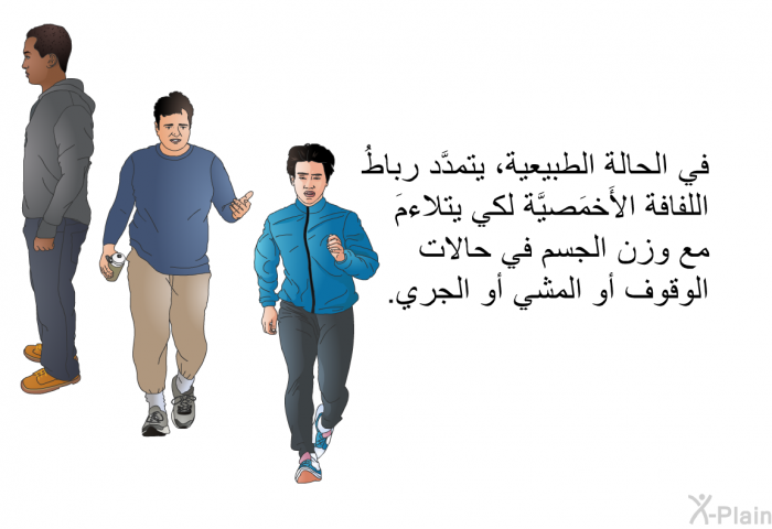 في الحالة الطبيعية، يتمدَّد رباطُ اللِّفافة الأَخمَصيَّة لكي يتلاءمَ مع وزن الجسم في حالات الوقوف أو المشي أو الجري.