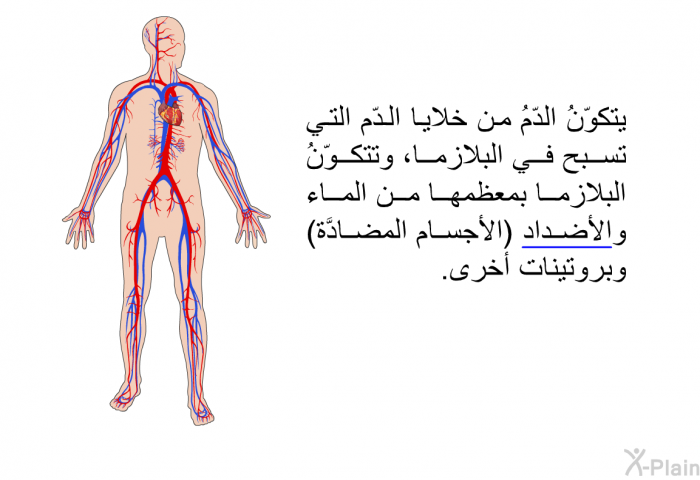 يتكوّنُ الدّمُ من خلايا الدّم التي تسبح في البلازما، وتتكوّنُ البلازما بمعظمها من الماء والأضداد (الأجسام المضادَّة) وبروتينات أخرى.