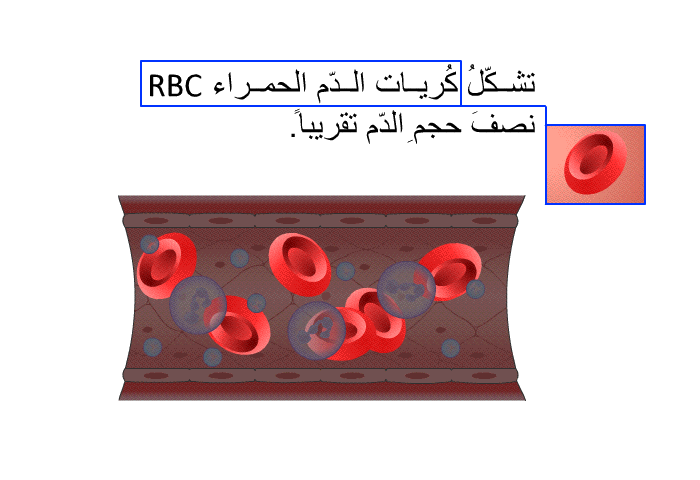 تشكّلُ كُريات الدّم الحمراء RBC نصفَ حجمِ الدّم تقريباً.