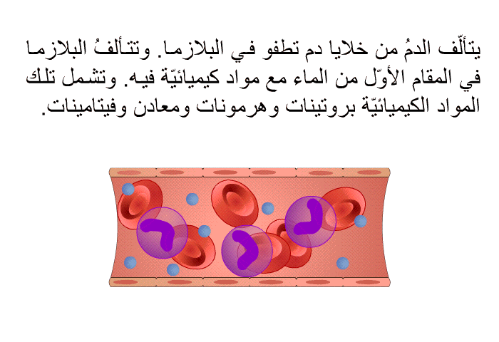 يتألّف الدمُ من خلايا دم تطفو في البلازما. وتتألفُ البلازما في المقام الأوّل من الماء مع مواد كيميائيّة فيه. وتشمل تلك المواد الكيميائيّة بروتينات وهرمونات ومعادن وفيتامينات.