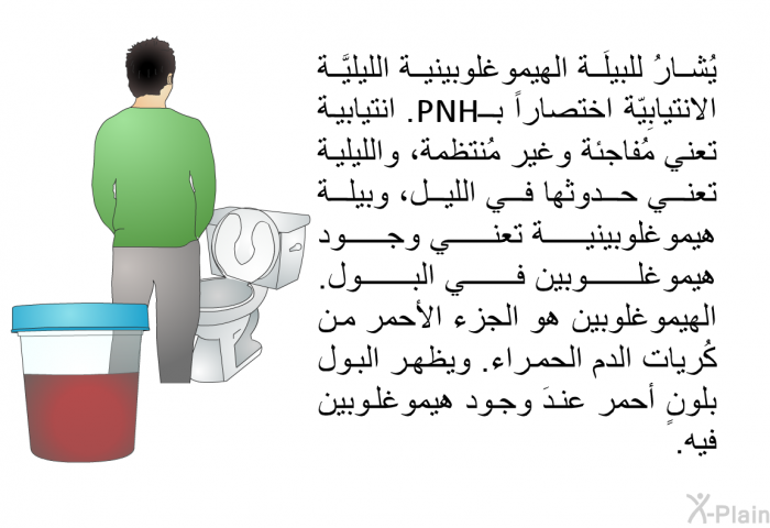 يُشارُ للبيلَة الهيموغلوبينية الليليَّة الانتيابِيّة اختصاراً بــPNH. انتيابية تعني مُفاجئة وغير مُنتظمة، والليلية تعني حدوثها في الليل، وبيلة هيموغلوبينية تعني وجود هيموغلوبين في البول. الهيموغلوبين هو الجزء الأحمر من كُريات الدم الحمراء. ويظهر البول بلونٍ أحمر عندَ وجود هيموغلوبين فيه.