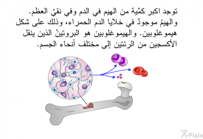 توجد ا اكبر كمية من الهيم في الدم وفي نقيِّ العظم. والهيمُ موجودٌ في خلايا الدم الحمراء، وذلك على شكل هيموغلوبين. والهيموغلوبين هو البروتينُ الذين ينقل الأكسجين من الرئتين إلى مختلف أنحاء الجسم.