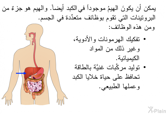 يمكن أن يكونَ الهيمُ موجوداً في الكبد أيضاً. والهيم هو جزءٌ من البروتينات التي تقوم بوظائف متعدِّدة في الجسم. ومن هذه الوظائف:   تفكيك الهرمونات والأدوية، وغير ذلك من المواد الكيميائية.  توليد مركَّبات غنيَّة بالطاقة تحافظ على حياة خلايا الكبد وعملها الطبيعي.