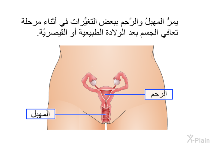 يمرُّ المهبلُ والرَّحِم ببعض التغيُّرات في أثناء مرحلة تعافي الجسم بعد الولادة الطبيعية أو القيصريَّة.