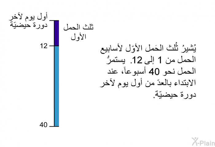 يُشيرُ ثُلث الحَمل الأوّل لأسابيع الحمل من 1 إلى 12. يستمرُّ الحمل نحو 40 أسبوعاً، عند الابتداء بالعدّ من أول يوم لآخر دورة حيضيّة.