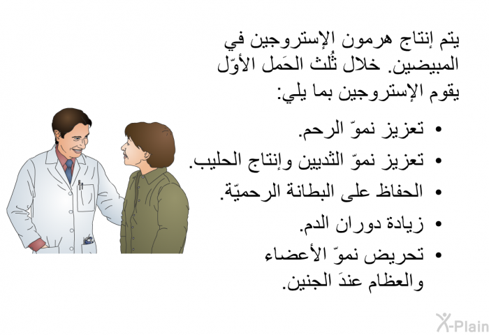 يتم إنتاج هرمون الإستروجين في المبيضين. خلال ثُلث الحَمل الأوّل يقوم الإستروجين بما يلي:  تعزيز نموّ الرحم. تعزيز نموّ الثديين وإنتاج الحليب. الحفاظ على البطانة الرحميّة. زيادة دوران الدم. تحريض نموّ الأعضاء والعظام عندَ الجنين.