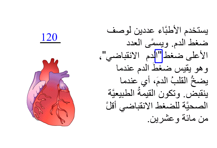 يستخدم الأطبَّاء عددين لوصف ضغط الدم. ويسمَّى العدد الأعلى ضغط الدم "الانقباضي"، وهو يقيس ضغطَ الدم عندما يضخُّ القلبُ الدمَ، أي عندما ينقبض. وتكون القيمةُ الطبيعيَّة الصحيَّة للضغط الانقباضي أقلَّ من مائة وعشرين.