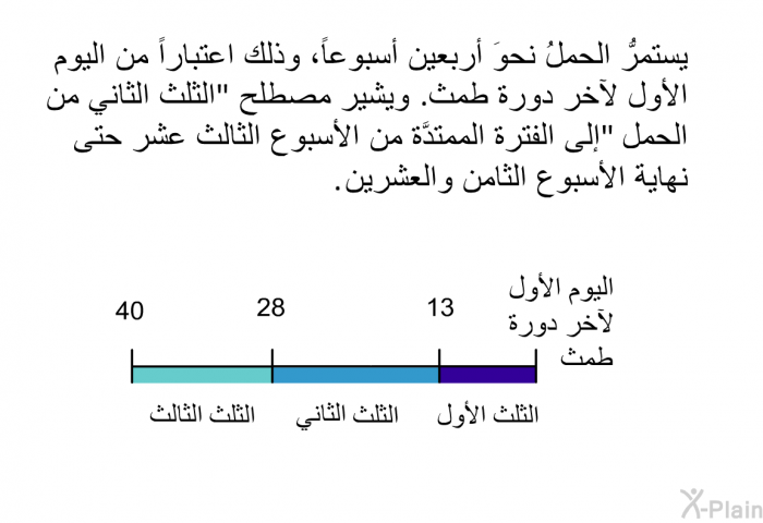 يستمرُّ الحملُ نحوَ أربعين أسبوعاً، وذلك اعتباراً من اليوم الأول لآخر دورة طمث. ويشير مصطلح "الثلث الثاني من الحمل" إلى الفترة الممتدَّة من الأسبوع الثالث عشر حتى نهاية الأسبوع الثامن والعشرين.