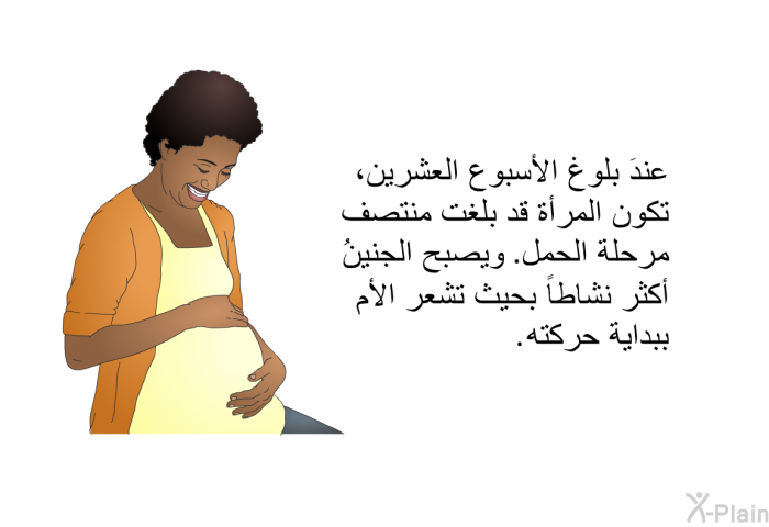 عندَ بلوغ الأسبوع العشرين، تكون المرأة قد بلغت منتصف مرحلة الحمل. ويصبح الجنينُ أكثر نشاطاً بحيث تشعر الأم ببداية حركته.