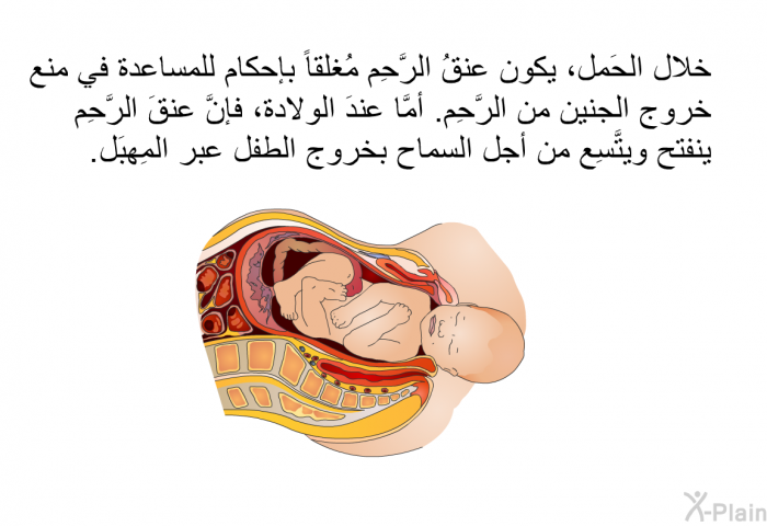 خلال الحَمل، يكون عنقُ الرَّحِم مُغلقاً بإحكام للمساعدة في منع خروج الجنين من الرَّحِم. أمَّا عندَ الولادة، فإنَّ عنقَ الرَّحِم ينفتح ويتَّسِع من أجل السماح بخروج الطفل عبر المَهبِل.