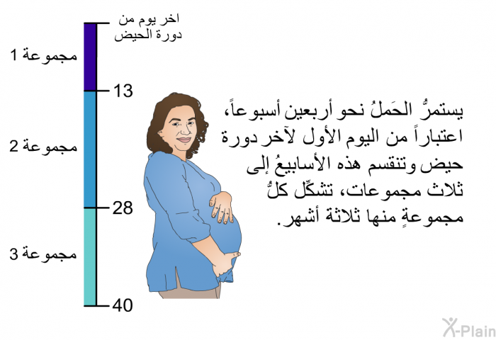 يستمرُّ الحَملُ نحو أربعين أسبوعاً، اعتباراً من اليوم الأول لآخر دورة حيض. وتنقسم هذه الأسابيعُ إلى ثلاث مجموعات، تشكِّل كلُّ مجموعةٍ منها ثلاثةَ أشهر.