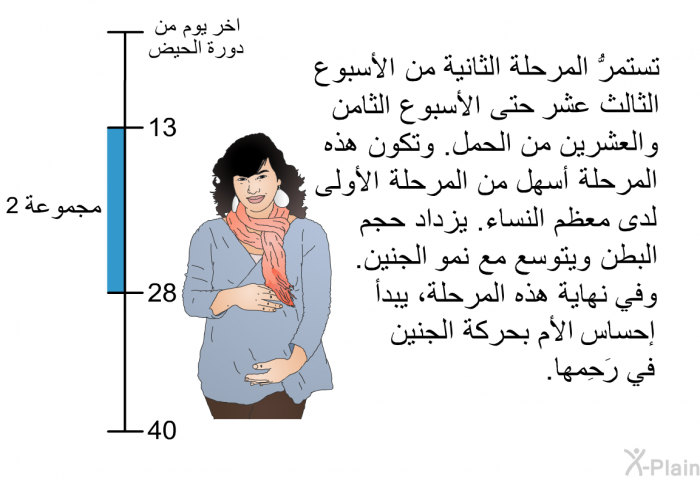 تستمرُّ المرحلةُ الثانية من الأسبوع الثالث عشر حتى الأسبوع الثامن والعشرين من الحَمل. وتكون هذه المرحلةُ أسهل من المرحلة الأولى لدى معظم النساء. يزداد حجمُ البطن ويتوسَّع مع نُموِّ الجنين. وفي نهاية هذه المرحلة، يبدأ إحساسُ الأم بحركة الجنين في رَحِمها.