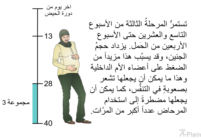 تستمرُّ المرحلةُ الثالثة من الأسبوع التاسع والعشرين حتى الأسبوع الأربعين من الحَمل. يزداد حجمُ الجنين، وقد يسبِّب هذا مزيداً من الضغط على أعضاء الأم الداخلية. وهذا ما يمكن أن يجعلها تشعر بصعوبةٍ في التنفُّس، كما يمكن أن يجعلها مضطرةً إلى استخدام المرحاض عدداً أكبر من المرَّات.