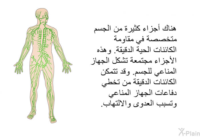 هناك أجزاء كثيرة من الجسم متخصصة في مقاومة الكائنات الحية الدقيقة. وهذه الأجزاء مجتمعة تشكل الجهاز المناعي للجسم. وقد تتمكن الكائنات الدقيقة من تخطي دفاعات الجهاز المناعي وتسبب العدوى والالتهاب.