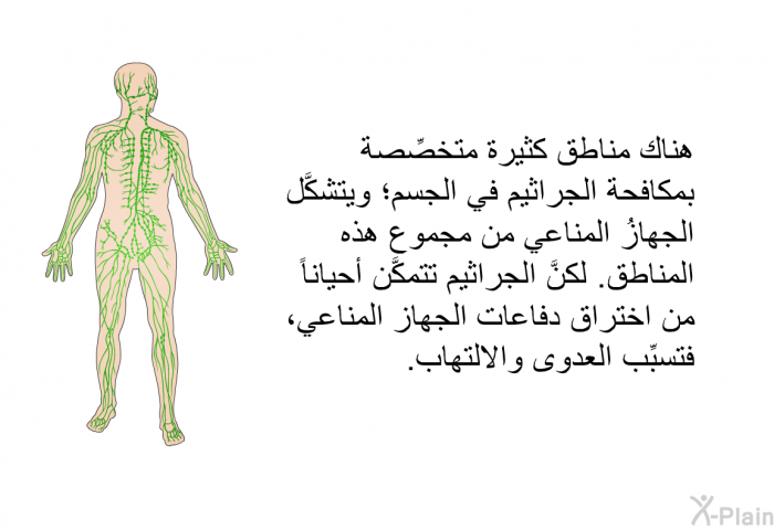 هناك مناطق كثيرة متخصِّصة بمكافحة الجراثيم في الجسم؛ ويتشكَّل الجهازُ المناعي من مجموع هذه المناطق. لكنَّ الجراثيم تتمكَّن أحياناً من اختراق دفاعات الجهاز المناعي، فتسبِّب العدوى والالتهاب.