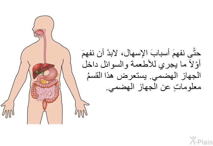 حتَّى نفهمَ أسبابَ الإسهال، لابدَّ أن نفهمَ أوَّلاً ما يجري للأطعمة والسوائل داخل الجهاز الهضمي. يستعرض هذا القسمُ معلوماتٍ عن الجهاز الهضمي.