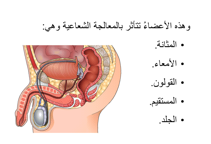 وهذه الأعضاءُ تتأثر بالمعالجة الشعاعية وهي:   المثانة.  الأمعاء.  القولون.  المستقيم. الجلد.
