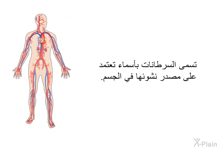 تسمى السرطانات بأسماء تعتمد على مصدر نشوئها في الجسم.