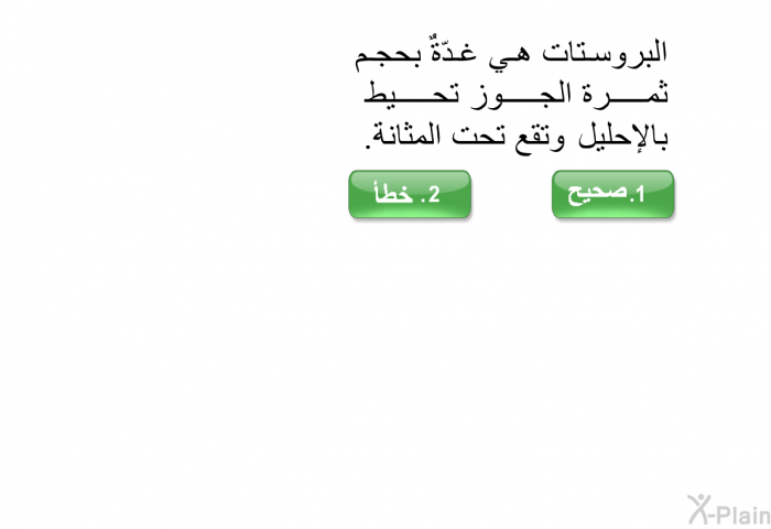 البروستات هي غدّةٌ بحجم ثمرة الجوز، تحيط بالإحليل، وتقع تحت المثانة.