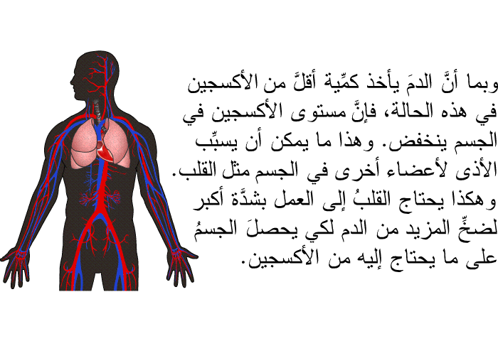 وبما أنَّ الدمَ يأخذ كمِّية أقلَّ من الأكسجين في هذه الحالة، فإنَّ مستوى الأكسجين في الجسم ينخفض. وهذا ما يمكن أن يسبِّب الأذى لأعضاء أخرى في الجسم مثل القلب. وهكذا يحتاج القلبُ إلى العمل بشدَّة أكبر لضخِّ المزيد من الدم لكي يحصلَ الجسمُ على ما يحتاج إليه من الأكسجين.
