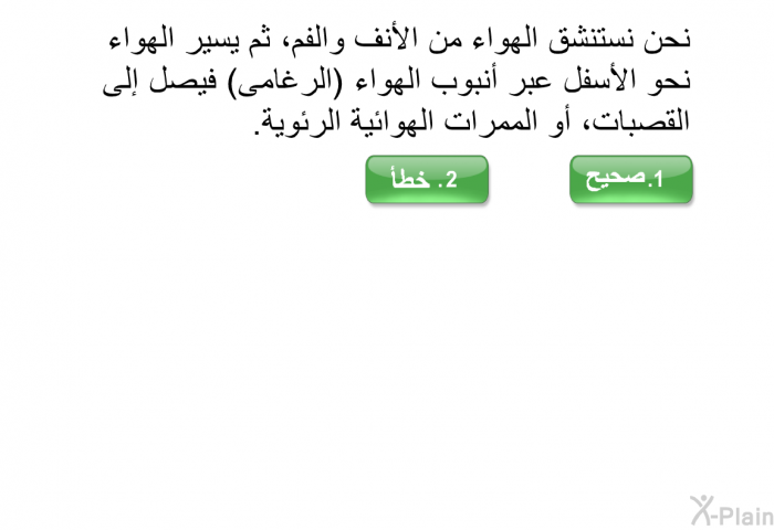 نحن نستنشق الهواء من الأنف والفم، ثم يسير الهواء نحو الأسفل عبر أنبوب الهواء (الرغامى) فيصل إلى القصبات، أو الممرات الهوائية الرئوية.