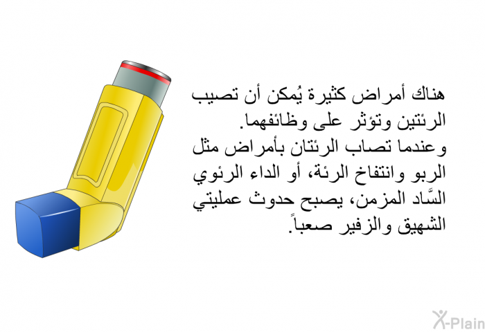 هناك أمراض كثيرة يُمكن أن تصيب الرئتين وتؤثر على وظائفهما. وعندما تصاب الرئتان بأمراض مثل الربو وانتفاخ الرئة، أو الداء الرئوي السَّاد المزمن، يصبح حدوث عمليتي الشهيق والزفير صعباً.