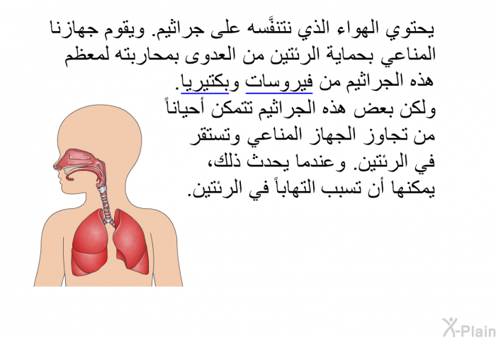 يحتوي الهواءُ الذي نتنفَّسه على جراثيم. ويقوم جهازنا المناعي بحماية الرئتين من العدوى بمحاربته لمعظم هذه الجراثيم من فيروسات وبكتيريا. ولكنَّ بعضَ هذه الجراثيم تتمكَّن أحياناً من تجاوز الجهاز المناعي وتستقر في الرئتين. وعندما يحدث ذلك، يمكنها أن تسبِّب التهاباً في الرئتين.