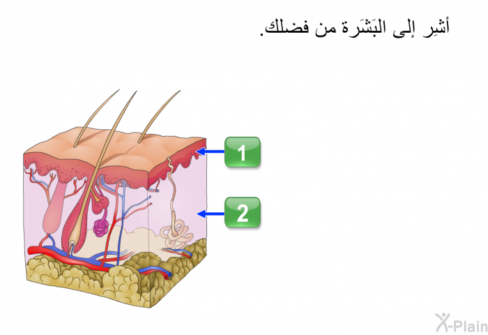 أشِر إلى البَشَرة من فضلك.