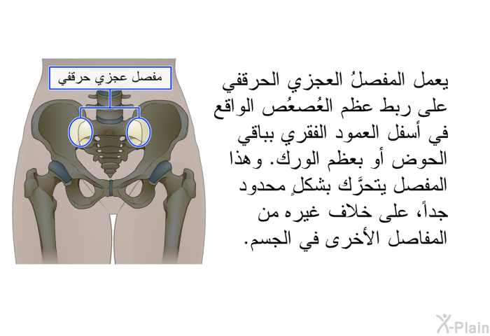 يعمل المفصلُ العجزي الحرقفي على ربط عظم العُصعُص الواقع في أسفل العمود الفقري بباقي الحوض أو بعظم الورك. وهذا المفصلُ يتحرَّك بشكلٍ محدود جداً، على خلاف غيره من المفاصل الأخرى في الجسم.