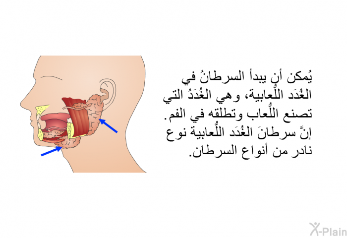 يُمكن أن يبدأَ السرطانُ في الغُدَد الُّلعابية، وهي الغُدَدُ التي تصنع الُّلعاب وتطلقه في الفم. إنَّ سرطانَ الغُدَد الُّلعابية نوعٌ نادرٌ من أنواع السرطان.