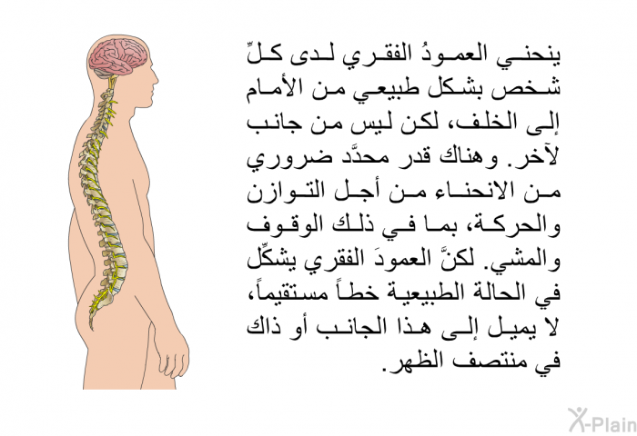 ينحني العمودُ الفقري لدى كلِّ شخص بشكل طبيعي من الأمام إلى الخلف، لكن ليس من جانب لآخر. وهناك قدرٌ محدَّد ضروري من الانحناء من أجل التوازن والحركة، بما في ذلك الوقوف والمشي. لكنَّ العمودَ الفقري يشكِّل في الحالة الطبيعية خطاً مستقيماً، لا يميل إلى هذا الجانب أو ذاك، في منتصف الظهر.