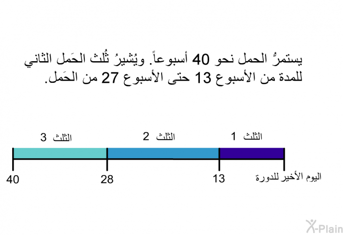 يستمرُّ الحمل نحو 40 أسبوعاً. ويُشيرُ ثُلث الحَمل الثاني للمدة من الأسبوع 13 حتى الأسبوع 27 من الحَمل.