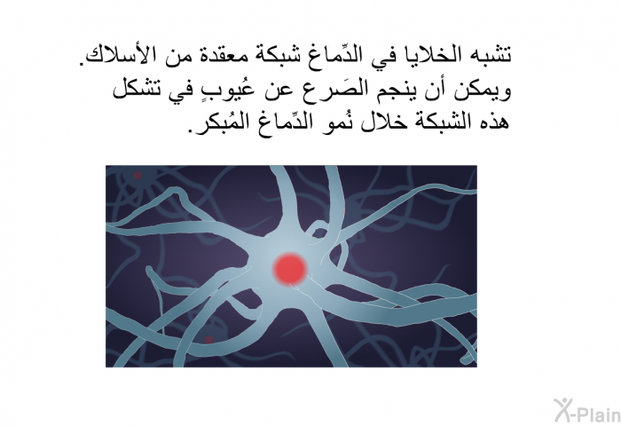 تشبه الخلايا في الدِّماغ شبكة معقدة من الأسلاك. ويمكن أن ينجم الصَرع عن عُيوبٍ في تشكل هذه الشبكة خلال نُمو الدِّماغ المُبكر.