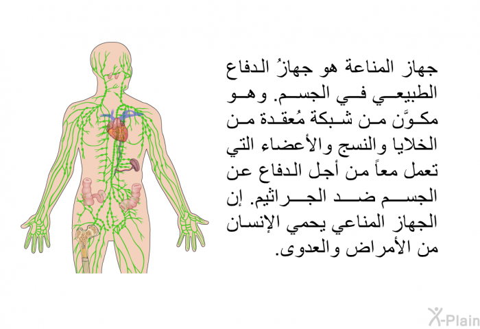 جهاز المناعة هو جهازُ الدفاع الطبيعي في الجسم. وهو مكوَّن من شبكة مُعقدة من الخلايا والنسج والأعضاء التي تعمل معاً من أجل الدفاع عن الجسم ضد الجراثيم. إن الجهاز المناعي يحمي الإنسان من الأمراض والعدوى.