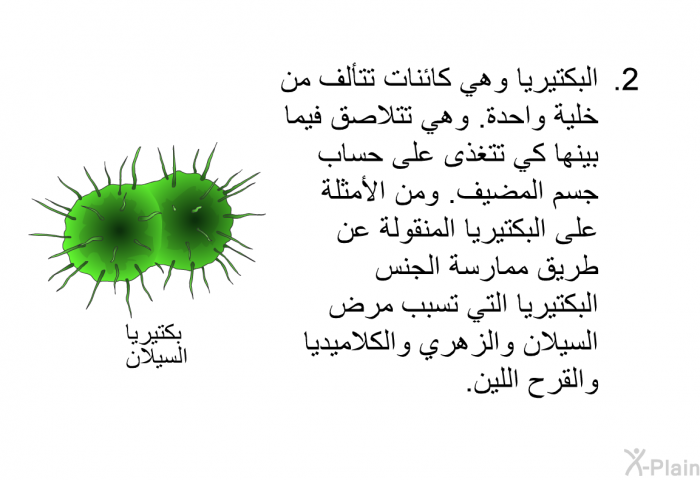 البكتيريا وهي كائنات تتألف من خلية واحدة. وهي تتلاصق فيما بينها كي تتغذى على حساب جسم المضيف. ومن الأمثلة على البكتيريا المنقولة عن طريق ممارسة الجنس البكتيريا التي تسبب مرض السيلان والزهري والكلاميديا والقرح اللين.