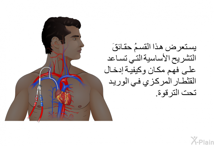 يستعرض هذا القسمُ حقائقَ التشريح الأساسية التي تساعد على فهم مكان وكيفية إدخال القثطار المركزي في الوريد تحت الترقوة.