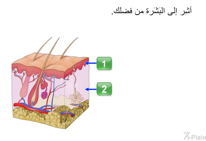 أشِر إلى البَشَرة من فضلك.