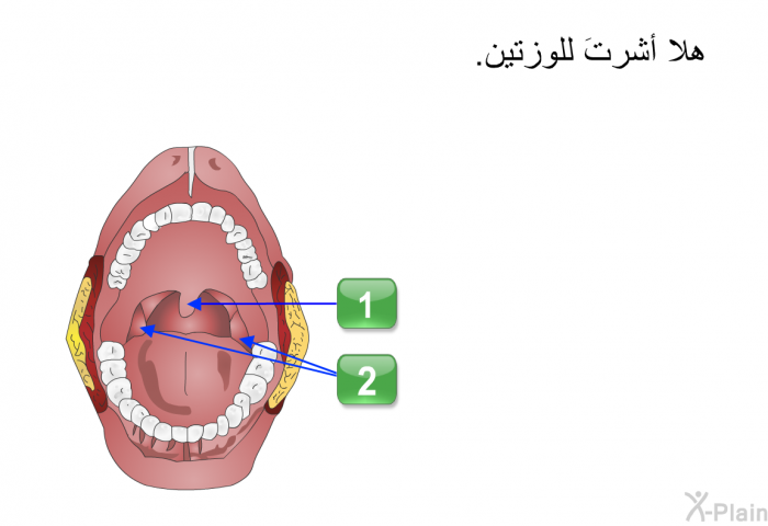 هلا أشرتَ للوزتين.