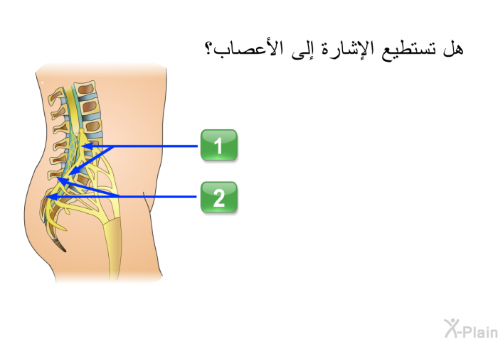 هل تستطيع الإشارة إلى الأعصاب؟