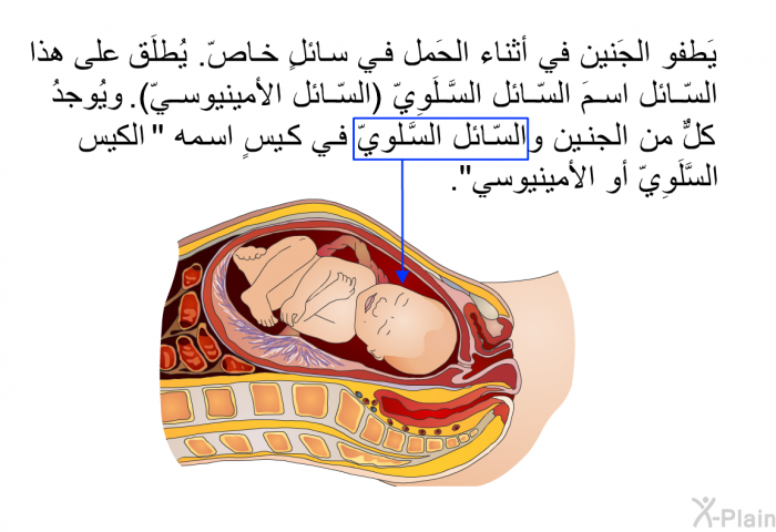 يَطفو الجَنين في أثناء الحَمل في سائلٍ خاصّ. يُطلَق على هذا السّائل اسمَ السّائل السَّلَوِيّ (السّائل الأمينيوسيّ). ويُوجدُ كلٌّ من الجنين والسّائل السَّلَوِيّ في كيسٍ اسمه " الكيس السَّلَوِيّ أو الأمينيوسي".