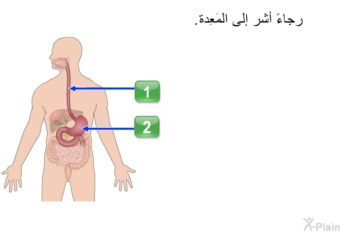 رجاءً أشر إلى المَعِدة.