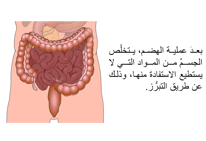 بعدَ عملية الهضم، يتخلَّص الجسمُ من المواد التي لا يستطيع الاستفادةَ منها، وذلك عن طريق التبرُّز.