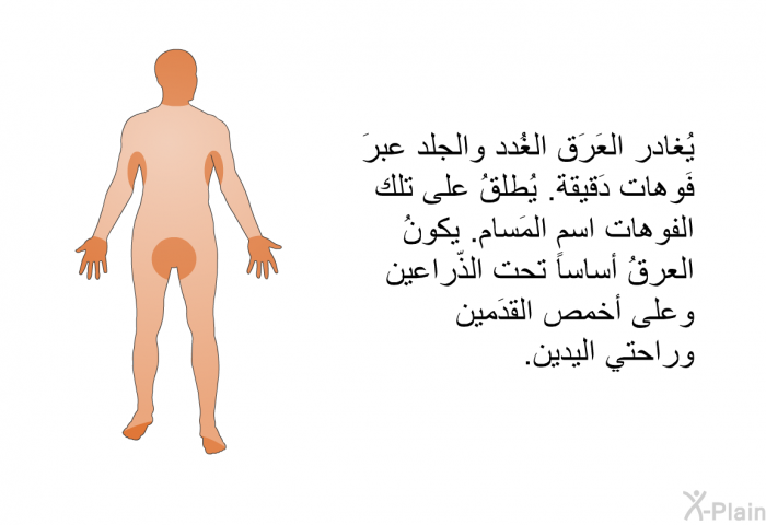 يُغادر العَرَق الغُدد والجلد عبرَ فَوهات دَقيقة. يُطلقُ على تلك الفوهات اسم المَسام. يكونُ العرقُ أساساً تحت الذّراعين وعلى أخمص القدَمين وراحتي اليدين.