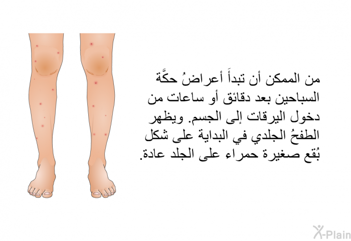 من الممكن أن تبدأَ أعراضُ حكَّة السباحين بعد دقائق أو ساعات من دخول اليرقات إلى الجسم. ويظهر الطفحُ الجلدي في البداية على شكل بُقع صغيرة حمراء على الجلد عادة.