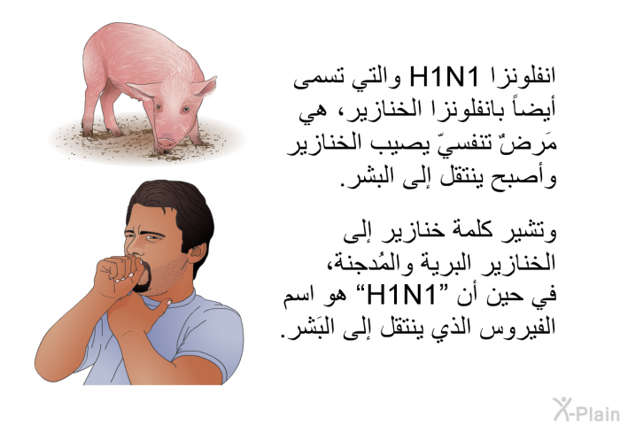 انفلونزا H1N1 والتي تسمى أيضاً بانفلونزا الخنازير، هي مَرضٌ تنفسيّ يصيب الخنازير وأصبح ينتقل إلى البشر. وتشير كلمة خنازير إلى الخنازير البرية والمُدجنة، في حين أن "H1N1" هو اسم الفيروس الذي ينتقل إلى البَشر.