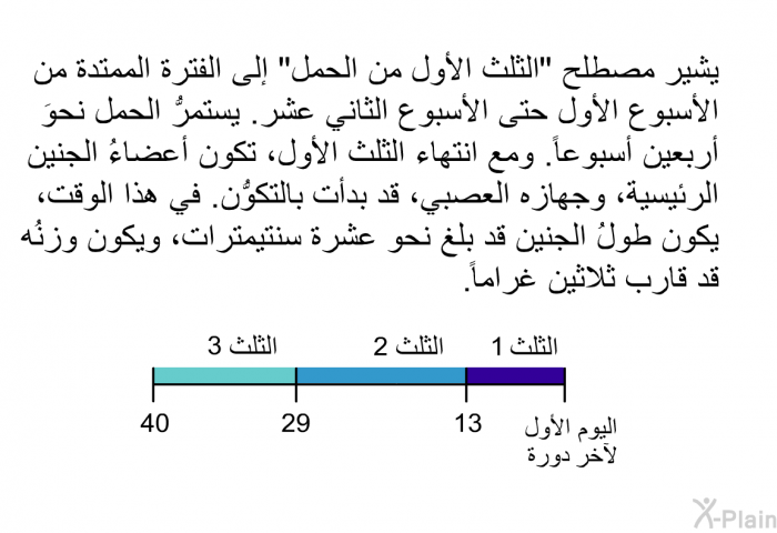 يشير مصطلح "الثلث الأول من الحمل" إلى الفترة الممتدة من الأسبوع الأول حتى الأسبوع الثاني عشر. يستمرُّ الحمل نحوَ أربعين أسبوعاً. ومع انتهاء الثلث الأول، تكون أعضاءُ الجنين الرئيسية، وجهازه العصبي، قد بدأت بالتكوُّن. في هذا الوقت، يكون طولُ الجنين قد بلغ نحو عشرة سنتيمترات، ويكون وزنُه قد قارب ثلاثين غراماً.