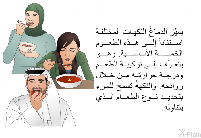 يميِّز الدماغُ النكهات المختلفة استناداً إلى هذه الطعوم الخمسة الأساسية. وهو يتعرَّف إلى تركيبة الطعام ودرجة حرارته من خلال روائحه. والنكهةُ تسمح للمرء بتحديد نوع الطعام الذي يتناوله.
