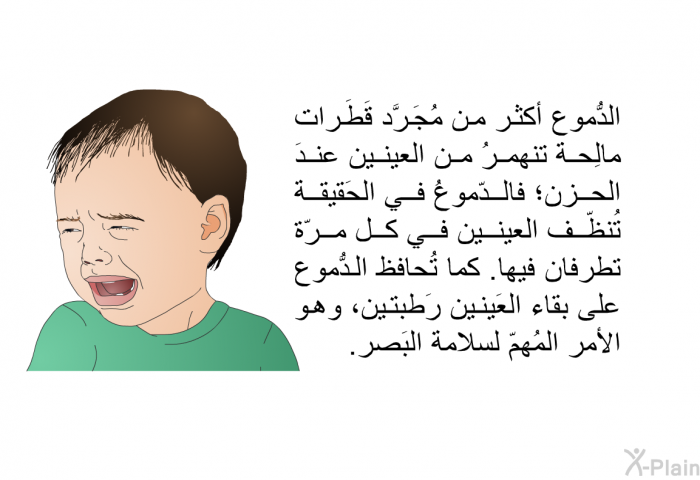 الدُّموع أكثر من مُجَرَّد قَطَرات مالِحة تنهمرُ من العينين عندَ الحزن؛ فالدّموعُ في الحَقيقة تُنظّف العينين في كل مرّة تطرفان فيها. كما تُحافظ الدُّموع على بقاء العَينين رَطبتين، وهو الأمر المُهمّ لسلامة البَصر.